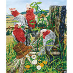 Kit tableau Strass Diamond Dotz Quartet de cacatoès