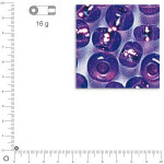 Perles de rocaille 2,6 mm garniture argent - Lilas