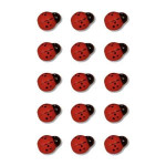 Formes adhésives 3D - Petite Coccinelle