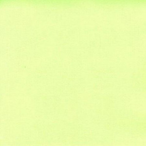 Papier Bazzill Toile 30,5 x 30,5 cm - 216 g/m² - Vert Aloe Vera
