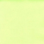 Papier Bazzill Toile 30,5 x 30,5 cm - 216 g/m² - Vert Aloe Vera
