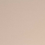 Papier Bazzill Toile 30,5 x 30,5 cm - 216 g/m² - Brun Twig
