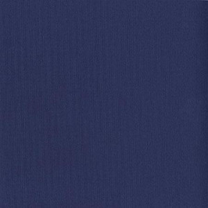 Papier Bazzill Toile 30,5 x 30,5 cm - 216 g/m² - Bleu Admiral